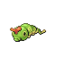 Caterpie