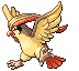 Pidgeot