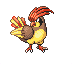 Pidgeotto