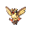 Pidgey